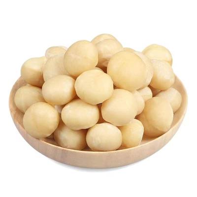 China Fresh Healthy Original Green Nuts Importers Without Additives Australia Hazel for sale