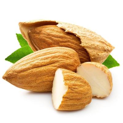 China Wholesale Price Dried Nut Food Supply Natural Delicious Shelled Almonds for sale