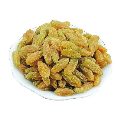 China Top Grade High Nutrition Dried Fruit Hot Sale Natural Air Raisins Top Grade Green Raisin for sale