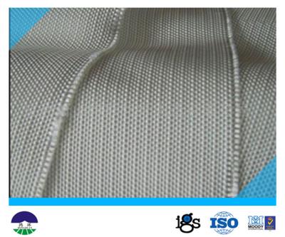 Chine Géotextile tissé par fil 460G de multifilament pour la séparation et le renfort basique à vendre