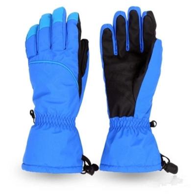 China Waterpoof Sport Ski Gloves Ski Gloves Touch Screen Sports Gloves Gym Fitness for sale