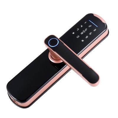 China Tuya WiFi Remote Control Dynamic Password Electronic Luxury Biometric Biometric Deadbolt Branded Tuya App Wireless Smart Lock for sale