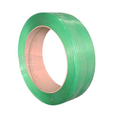 China Factory Wholesale 2-9MM Thickness Accept Custom Green Plastic Pet Strap Band for sale