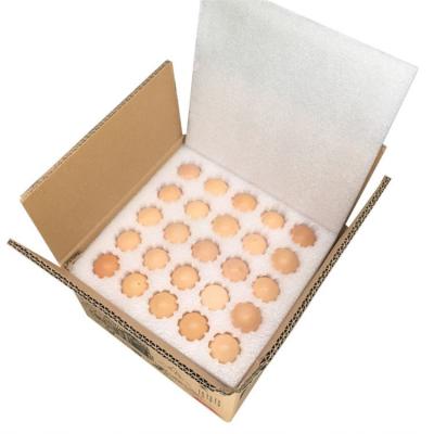 China China Factory Price Earthquake Prevention and Pressure Resistance Carton Box Egg Tray For Shipping for sale