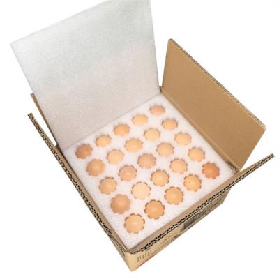 China Earthquake Prevention And Pressure Resistance Cheap Price Egg Care Design Packaging Boxes Carton Plastic Egg Tray for sale