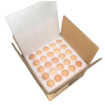 China Earthquake Prevention And Pressure Resistance Manufacturer Pressure Resistance Carton Box Skillful Egg Tray For Shipping for sale