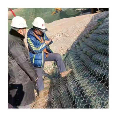 China High Strength Low Price Hot Dipped Galvanized Tecco Wire Mesh Tecco Net for sale