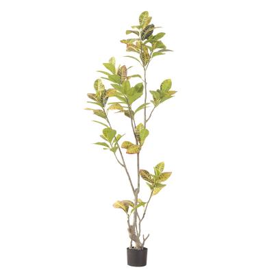 China Minimalist Green Plants Artificial Trees Plant Rubber Tree Bonsai Potted Landscaping Indoor Decoration for sale