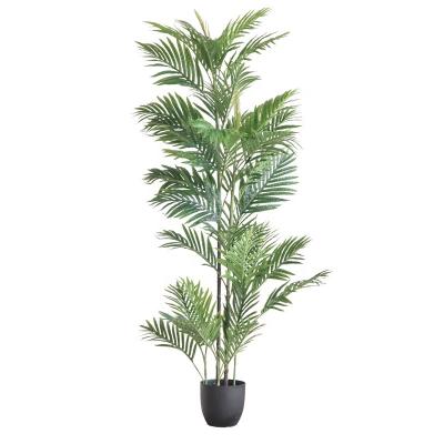 China Hot Sale Minimalist 1.6m Amazon Plant Decoration Artificial Palm Trees Chrysalidocarpus Lutescens H. Wendl. for sale