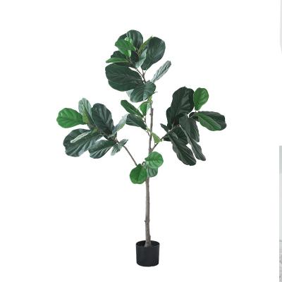 China Minimalist Artificial Green House Tree Decoration Ficus Bonsai Plant for sale