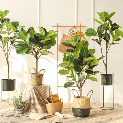 China Africa Plants Hot Selling Artificial Plants Minimalist Artificial Plastic Trees Home Decoration Pandurata Hance Ficus Tree for sale