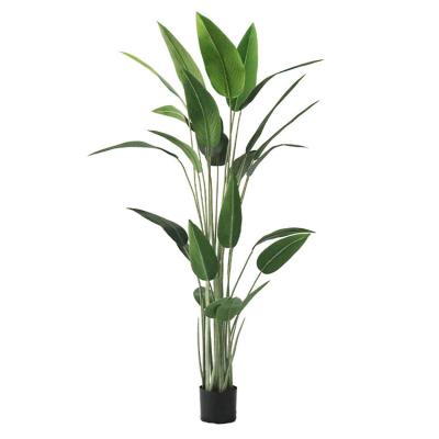 China China Big Size Canna Plant Canna Green Plants Indica Artificial Tree Home Decoration Minimalist Artificial Indica Plant for sale