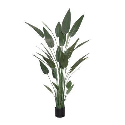 China Best Quality Indica Minimalist Decoration Green Plant Canna Home Gardening Artificial Plants for sale