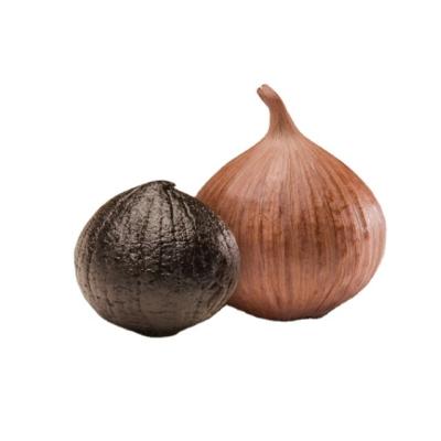 China Bulk fresh healthy black organic garlic from china factory for sale