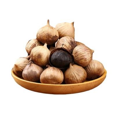 China China Factory Sample Bulk Fresh Healthy Organic Black Garlic Fermented Single Solo Black Garlic for sale