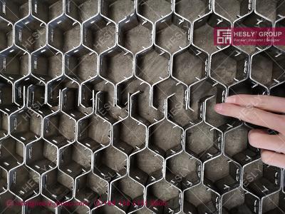 China AISI410S tortoise shell hexagonal mesh with lances | 3'X10' | HESLY China Factory Exporter for sale