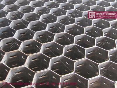 China Carbon Steel ST37 Hex Mesh | Lances style | 19mm thickness | 14Ga strips | 48mm hole | Hesly Metal Mesh for sale