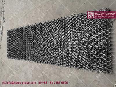 China 20X2.0X50mm Stainless Steel AISI310S Hexmesh With Laces | China Hex Mesh Supplier for sale