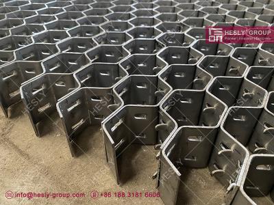 China Stainless Steel 310S Hexmesh, Lances Type | 1.85X2.0X60mm | Hexagonal Hole | HESLY Brand | China Factory Exporter for sale