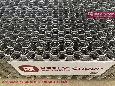 China Stainless Steel 304 Hesley Hex Mesh | Chinese Brand Hesly | Offset Lances | 3ft X 8ft | 2.0mm strips | Good price for sale