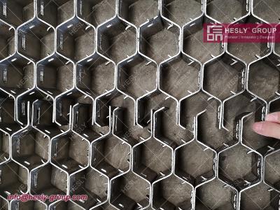 China HESLY AISI 310S Hexsteel Grid (Hexmetal) | 36