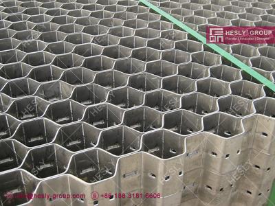 China Stainless Steel 321 Hex Metal Mesh For Duct Linings | L Type Mesh | H type Mesh | HESLY Brand-CHINA for sale