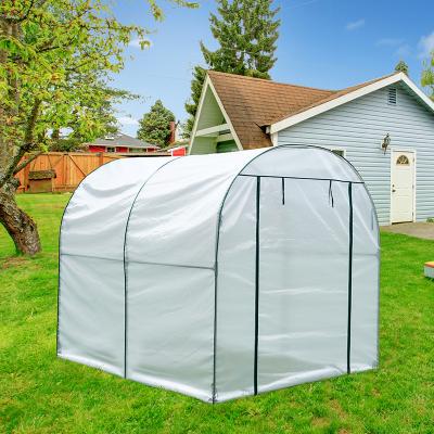 China Waterproof Custom Size Factory Price Tomato Greenhouse Mini Greenhouse Garden Greenhouses for sale