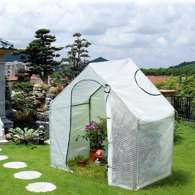 China Factory Size Green House Waterproof Custom Greenhouse Structure Portable Backyard Greenhouse for sale