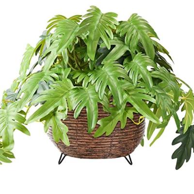 China Environmentally Friendly Artificial Decorative Flower Plant Tensi Plants And Flowers Pot for sale