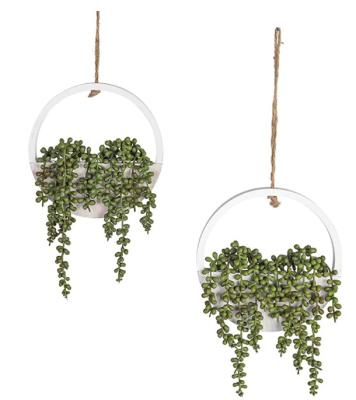 China Environmental Friendly Artificial Pearl Twine Hanging Plant with Lanyard Artificial Succulent Plant Artificial Plants and Flowers for sale