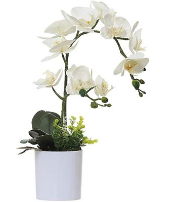 China Eco - Friendly Artificial Plants And Butterfly Orchid Flowers For Wedding Party Garden Home Office Interior Decoration for sale