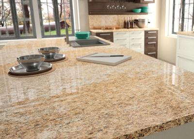 China Prefeb Big Size Natural Granite Countertops Manual Polishing For Villa Home for sale