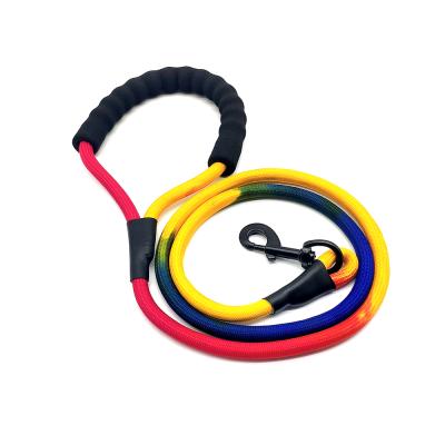 China New Design Quality Assurance Thoughtful Colorful Nylon Rope Dog Training Leash for sale