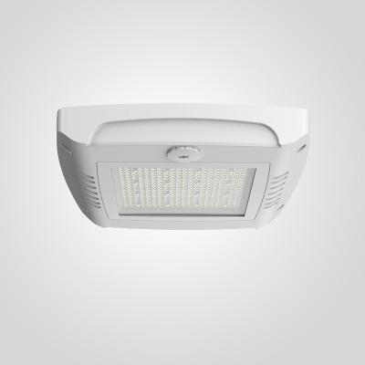 China RAL 1127 Branco LED Canopy Light 150lm/W 6KV Linha à Terra Canopy Lights Iluminação exterior à venda