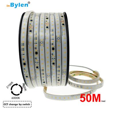 China Warehouse garden road color temperature new residential hotel office theme park landscape double CCT dimming 10W 220V led strip for sale