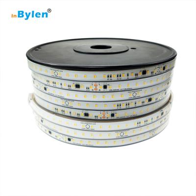 China Warehouse Garden Road Landscape Theme Park Hotel Residential 2022 New Dual Color 220v 2835 IP67 10W Led Strip Light for sale