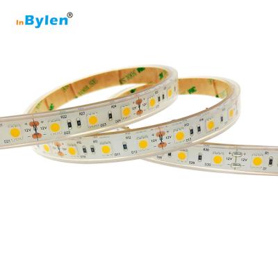 China LANDSCAPE wholesales smd 5050 led strip light 12V waterproof DC strip light for sale