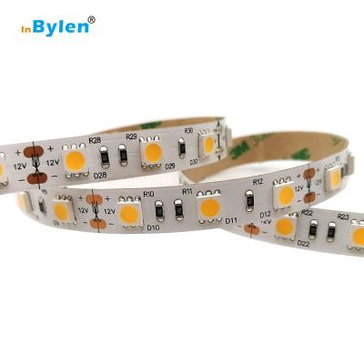 China LANDSCAPE led strip light 5050 12V 5meter 60led 10mm waterproof strip light for decoration for sale