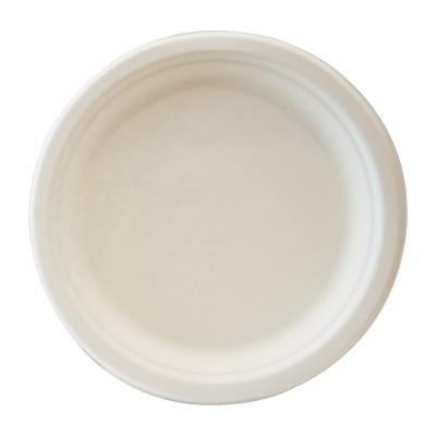 China Biodegradable Disposable Bagasse Dish Disposable Sugarcane Dishes Disposable Dinner Dish for sale