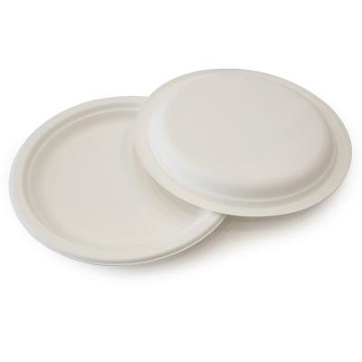 China Hot Selling Biodegradable Paper Plate Disposable Food Dish Disposable Dishes For Wedding for sale