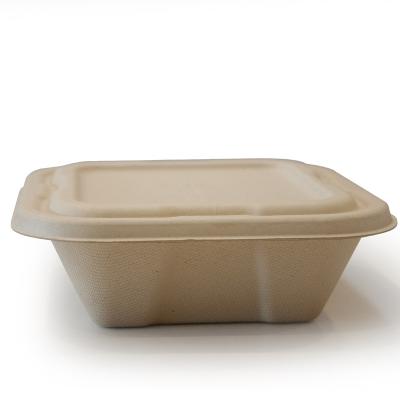 China Biodegradable Disposable Storage and Food Container Sugar Bagasse Compostable Fruit Salad Takeaway Container for sale