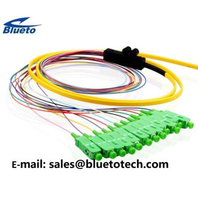 Κίνα 12Fiber Ribbon Fiber Pigtail SC/APC Fiber Optic Pigtail 12colors Ribbon Fan Out Kit 0.9mm προς πώληση