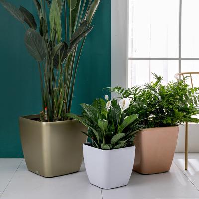 China modern & Modern Minimalist Square Basin Storage Lazy Green Desktop Large Water Flower Pot for sale