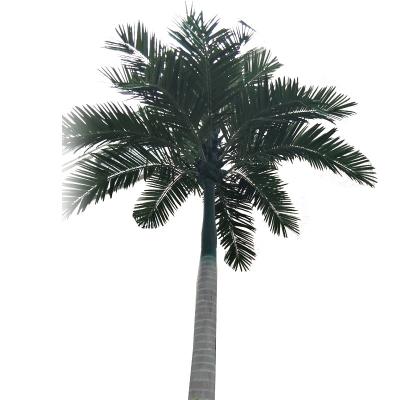 China Artificial Imitation Coconut Tree Hainan King Coconut Tree Simulation FRP Farm Fake FRP Coconut Tree for sale