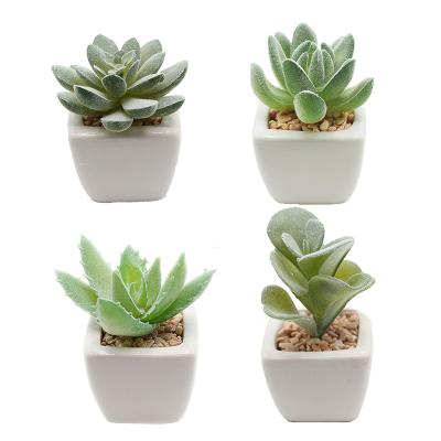 China Farmhouse wholesale suitable for small indoor ornaments simulation office kitchen bedroom living room succulent potted plants for sale