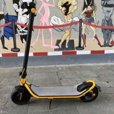 China Newest Unisex China Most Popular Model Dual Motor Pro Mobility Accessories 1000W Electric Scooter for sale