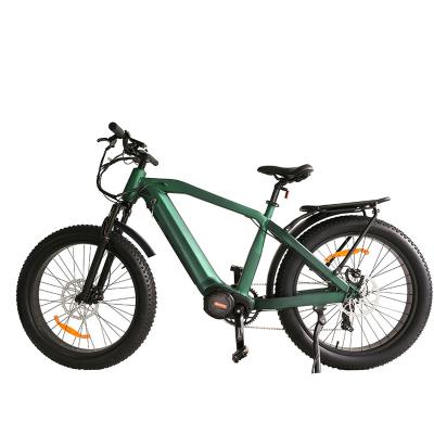 China Low Price 48v 1000w Mid Drive Fat Tire Electric Mountain Bike Adult Electric Bicycle Moutain Bicycle in China for sale