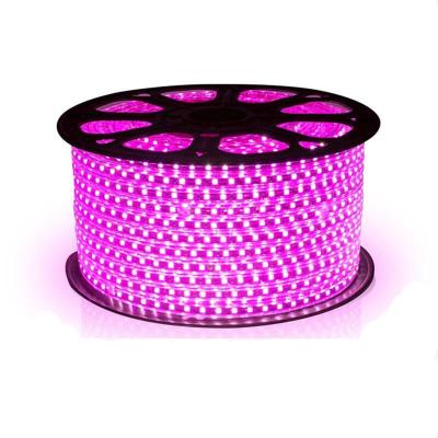 China Hotel Strip Lights 220v Flexible Led Waterproof Led Strip 100 Meters IP65 5050 2835 5730 LED Strip Light for sale