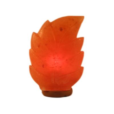 China UK USA Cheap Wholesale Pakistan Globe Natural Himalayan Leaf Shaped Rock Salt Lamps Home Decor 3-4kg for sale