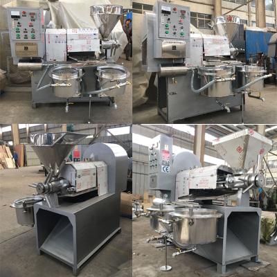 China Automatic Sesame Peanut Peanut Moringa Copra Oil Press Extractor Extruder Extruder Olive Mill Machine seeds for sale